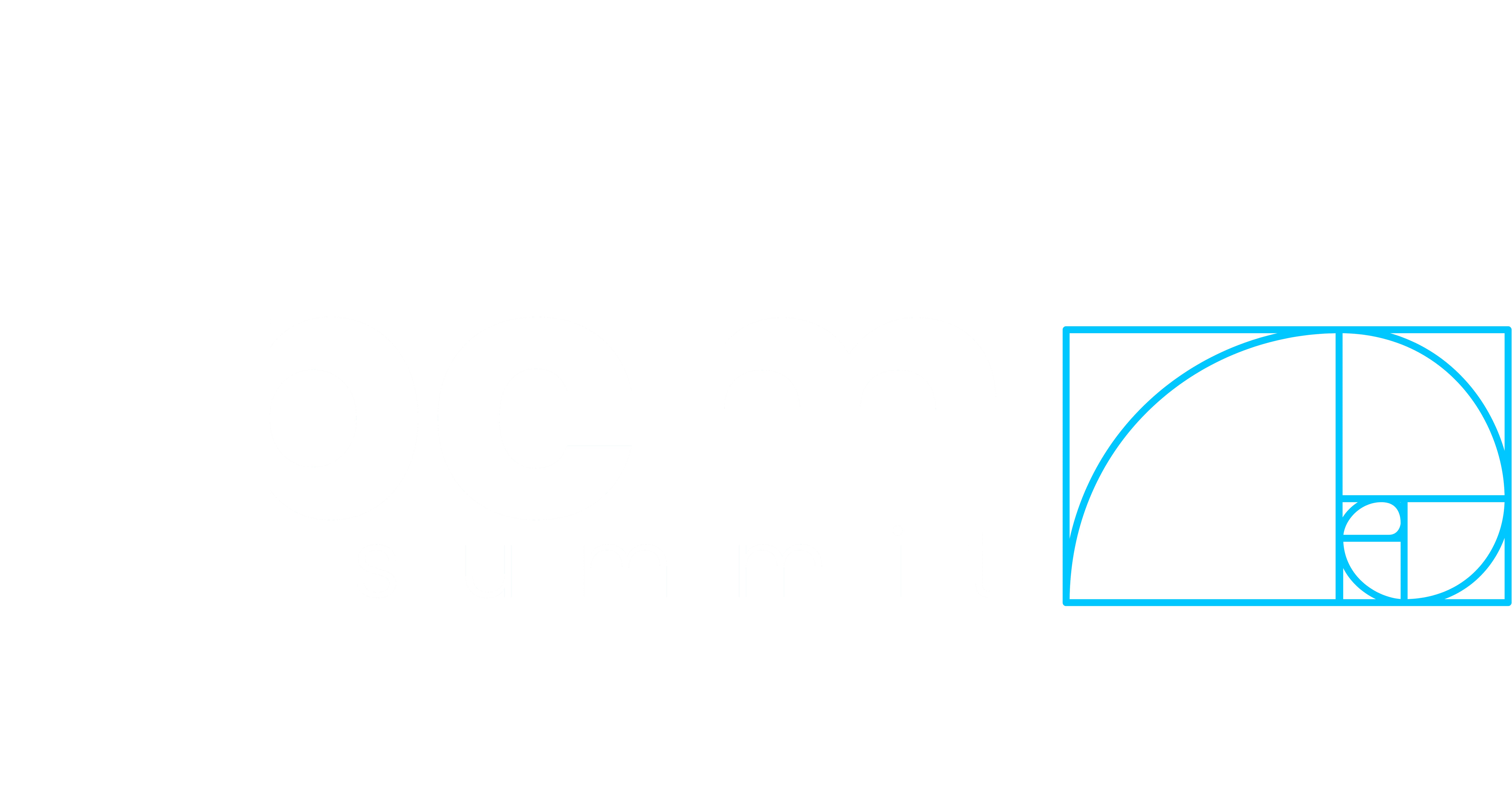LOGO-PCM-SUMMIT-V2-PRINCIPAL-VERTICAL-BRANCA-1-3